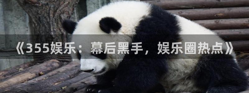 澳客方案官网：《355娱乐：幕后黑手，娱乐圈热点》
