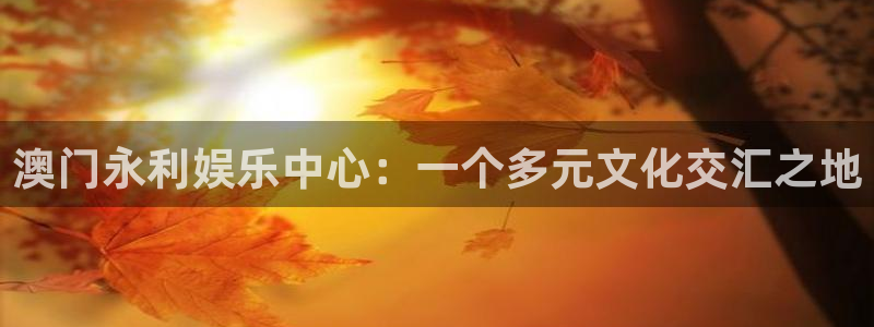 澳客竞彩app官方：澳门永利娱乐中心：一个多元文化交汇之地