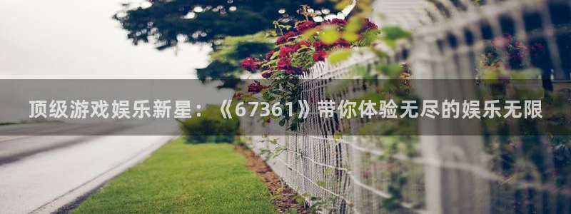 澳客彩网官网：顶级游戏娱乐新星：《67361》带你体验无尽的娱乐无限