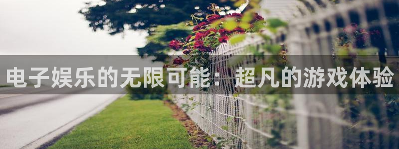 okooo澳客下载：电子娱乐的无限可能：超凡的游戏体验