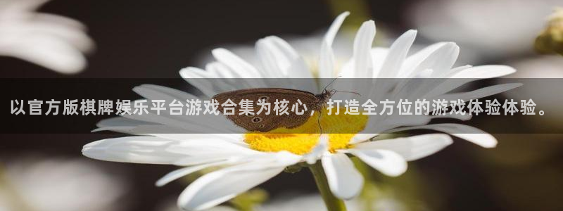 澳客比分直播网：以官方版棋牌娱乐平台游戏合集为核心，打造全方位的游戏体验体验。