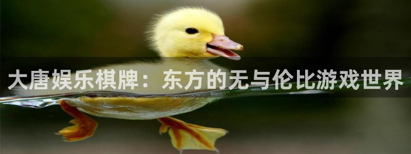 澳客网比分：大唐娱乐棋牌：东方的无与伦比游戏世界