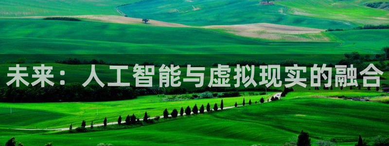 澳客中国竞彩网：未来：人工智能与虚拟现实的融合