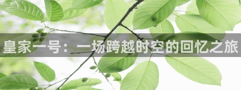 澳客官网旧版：皇家一号：一场跨越时空的回忆之旅