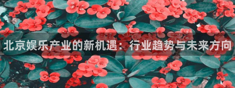澳客官方网站：北京娱乐产业的新机遇：行业趋势与未来方向