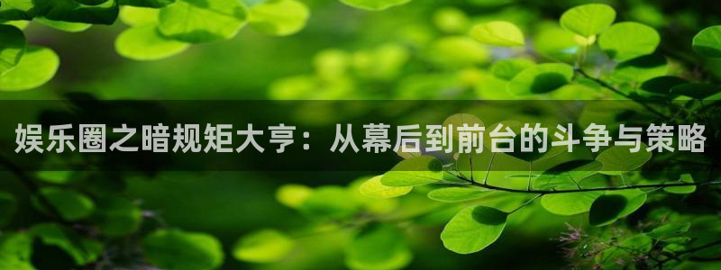 澳客app官方：娱乐圈之暗规矩大亨：从幕后到前台的斗争与策略