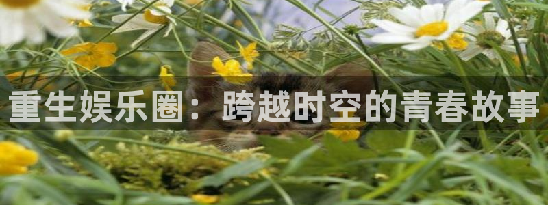 澳客网首页比分：重生娱乐圈：跨越时空的青春故事