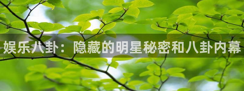 澳客彩：娱乐八卦：隐藏的明星秘密和八卦内幕