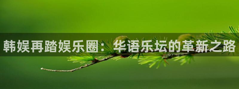 老版澳客：韩娱再踏娱乐圈：华语乐坛的革新之路