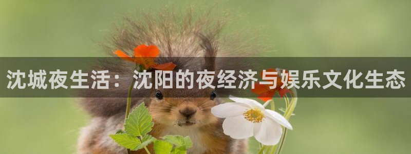 澳客0