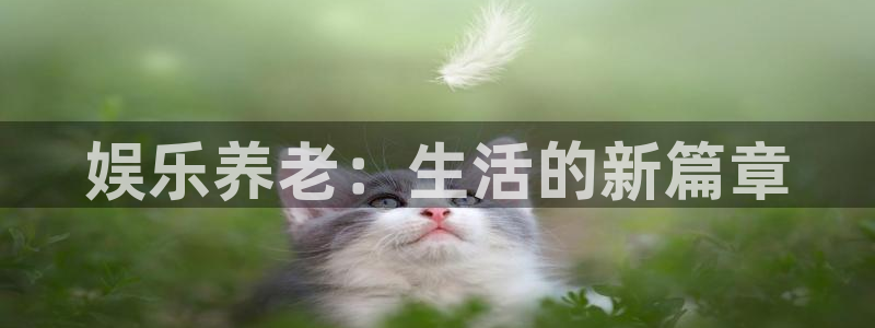 澳客官网足球