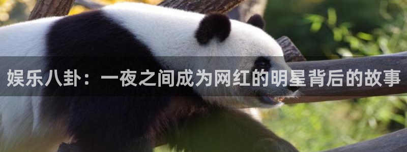 澳客下载安装手机版app