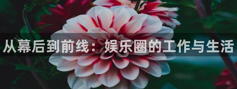 澳客手机版下载